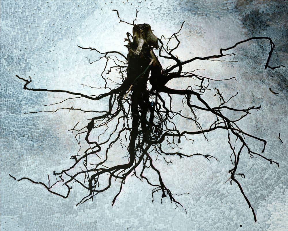 Viviane Sassen, "Phoenix / Revisited",  2009-2023 © Viviane Sassen