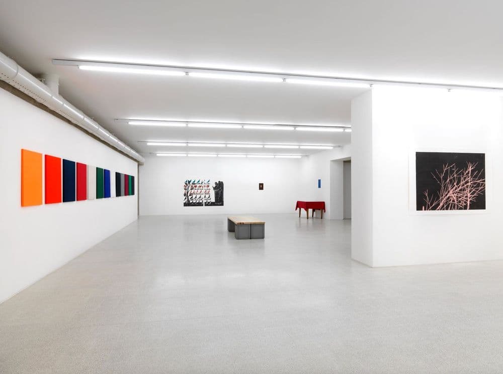 Andrea Büttner, "The Poverty of Riches", 2011-2012, exhibition view © Andrea Büttner | ph. Dario Lasagni