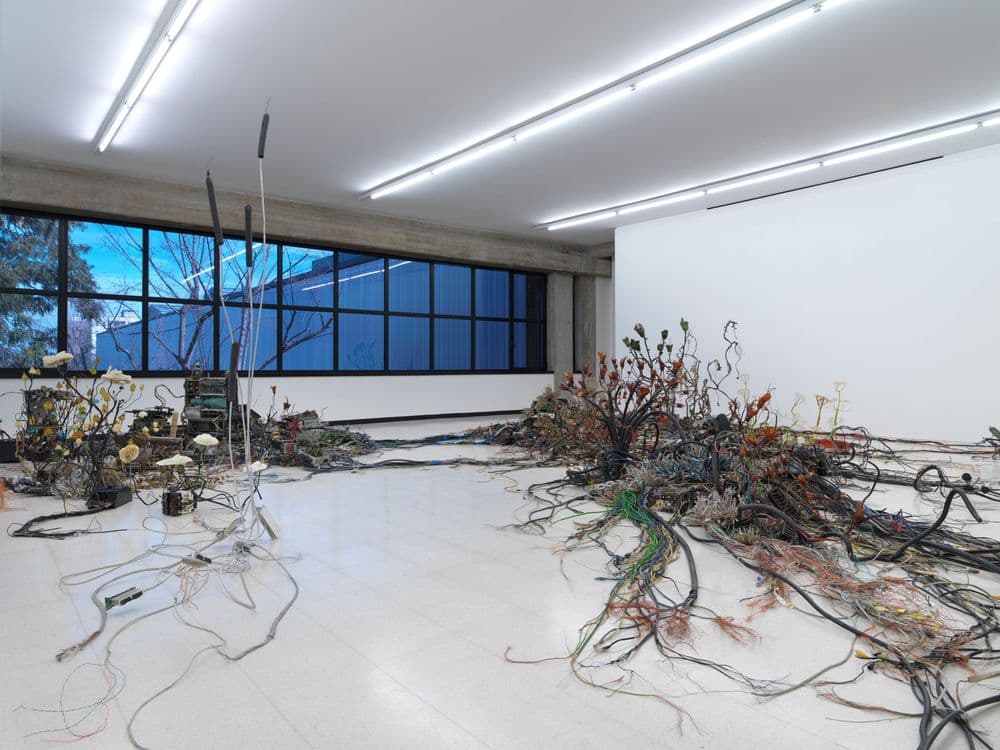 Krištof Kintera, "Postnaturalia", 2017 Ph. Dario Lasagni