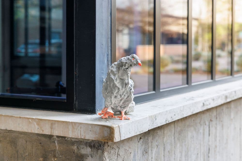 Andriu Deplazes, "Aufrechte Taube (Upright Pigeon)", 2023 © Andriu Deplazes | ph. Roberto Marossi