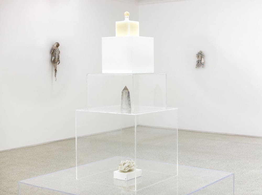 Evgeny Antufiev, "Twelve, wood, dolphin, knife, bowl, mask, crystal, bones and marble – fusion. Exploring materials", 2013, exhibition view © Evgeny Antufiev | ph. Dario Lasagni