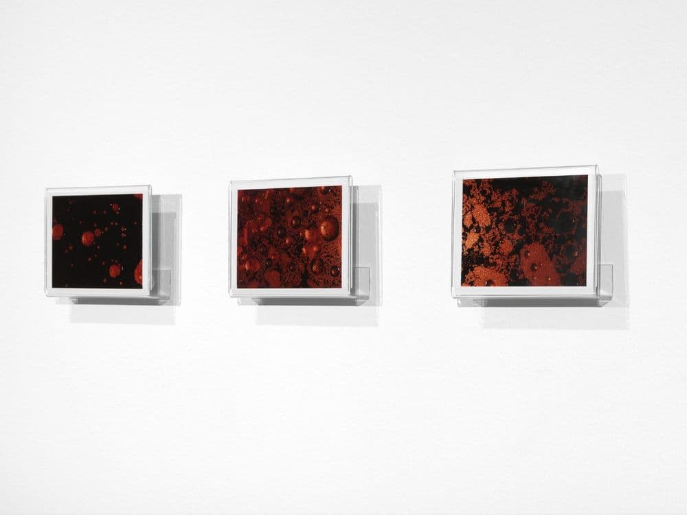 Beatrice Pediconi, "9' / Unlimited", 2013, veduta di mostra © Beatrice Pediconi | ph. Dario Lasagni