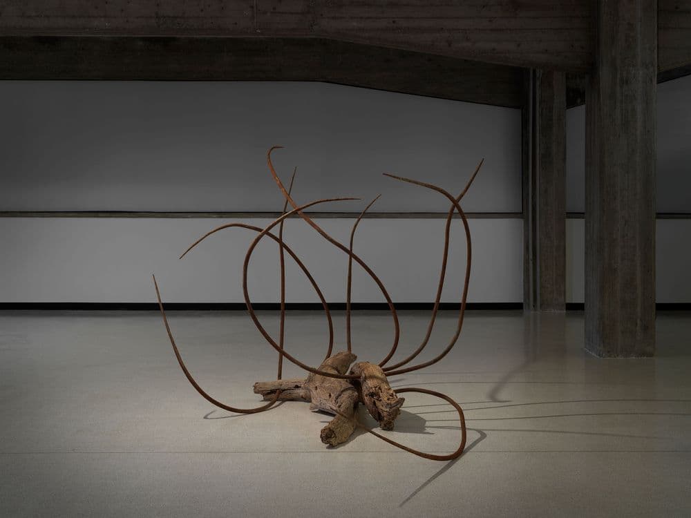 Dominique White, "dead reckoning", 2024 © Dominique White | ph. Dario Lasagni