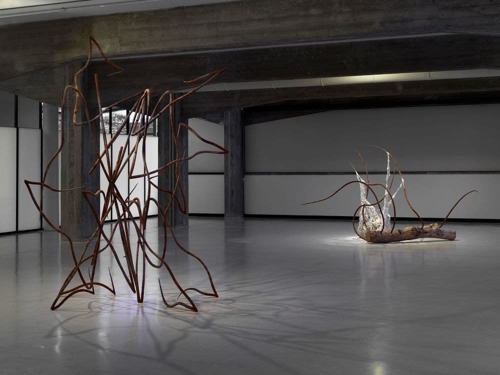 Dominique White, "Deadweight", 2024 | Ph. Dario Lasagni