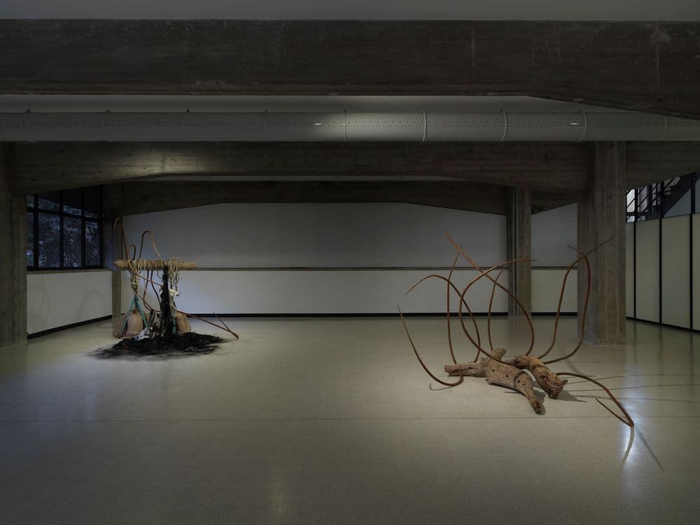 Dominique White, "Deadweight", 2024 | Ph. Dario Lasagni