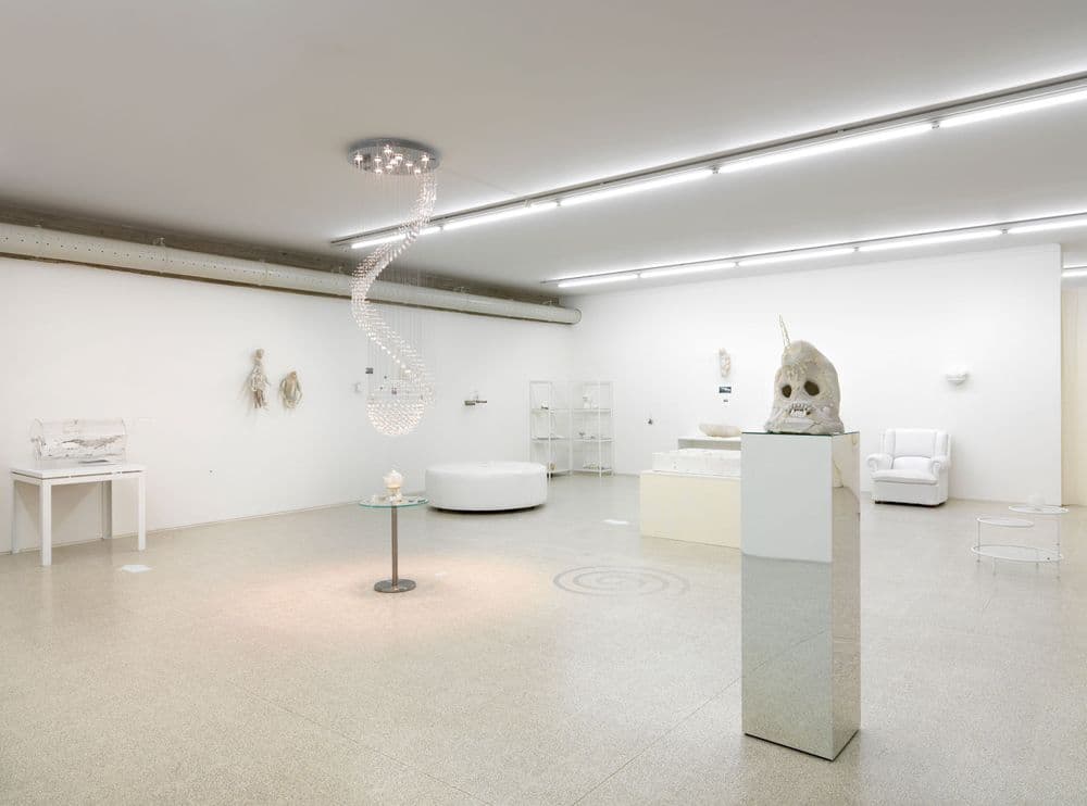 Evgeny Antufiev, "Twelve, wood, dolphin, knife, bowl, mask, crystal, bones and marble - fusion. Exploring materials", 2013, exhibition view | ph. Dario Lasagni